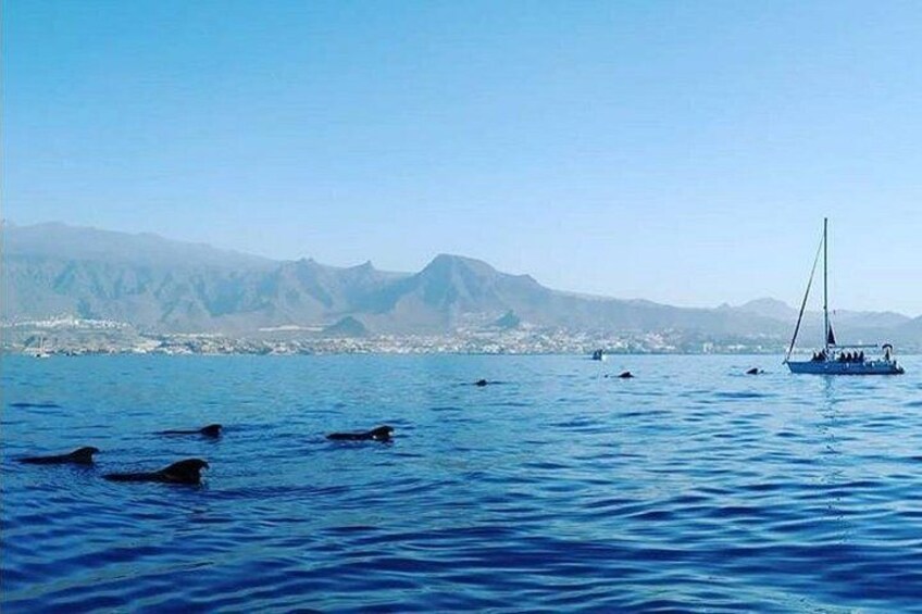 Un voilier sur des eaux bleues et calmes, avec des montagnes en arrière-plan. 1