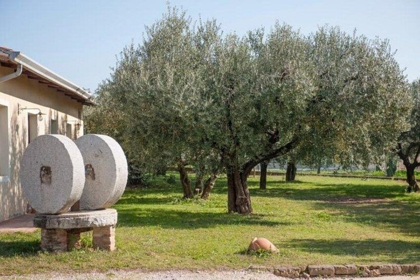 Olice mill. 4