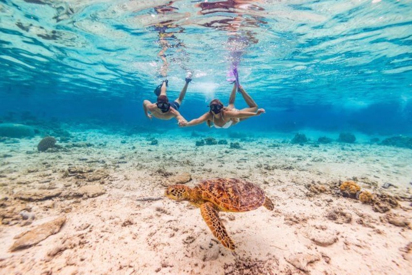 Two people snorkeling underwater with a sea turtle on the sandy ocean floor. 3