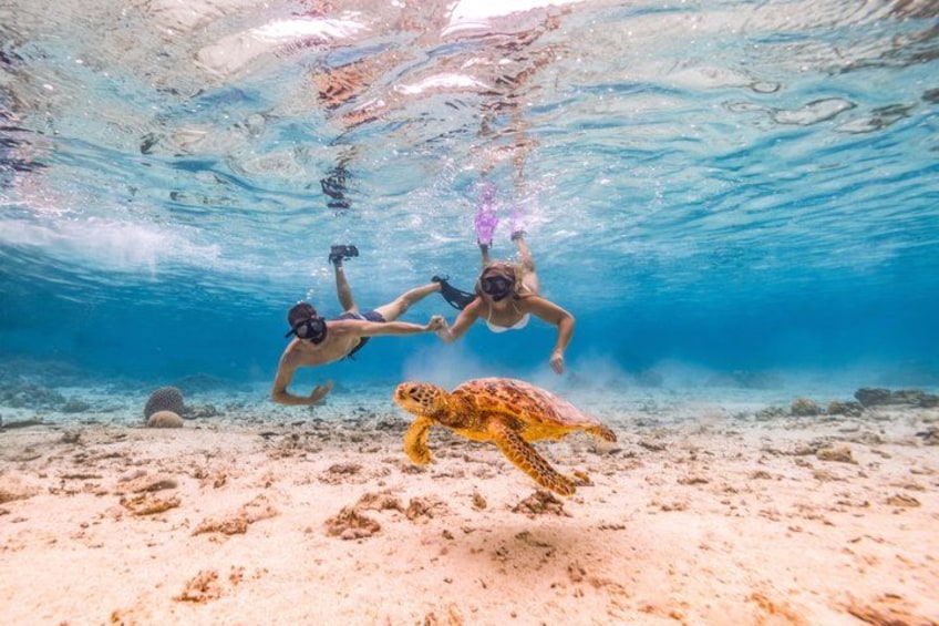 Two people snorkeling underwater with a sea turtle nearby. 5