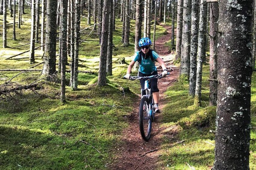 more singletrack 2
