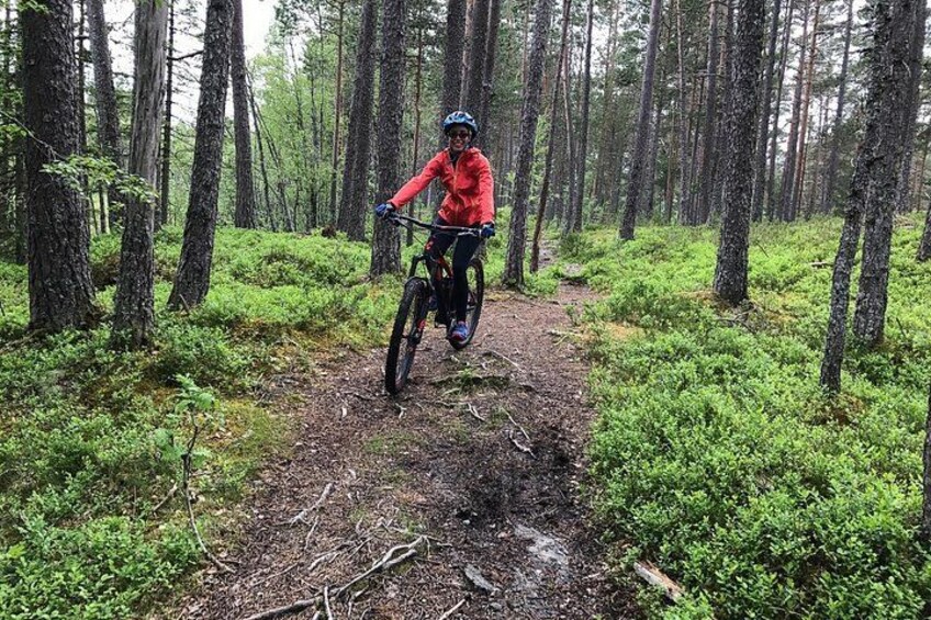 Voss Forest 4