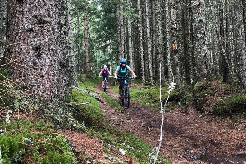 Single track bike riding 3