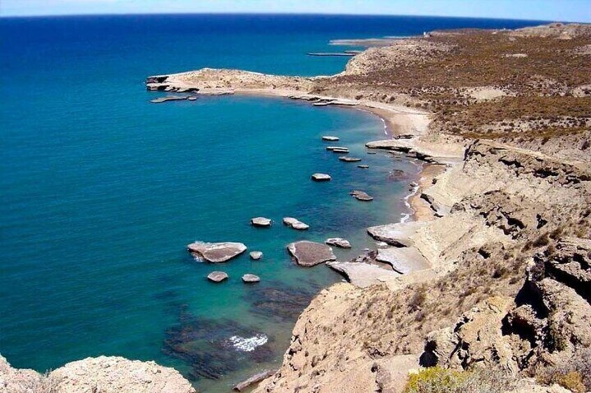Valdés Peninsula - Full day excursion 3