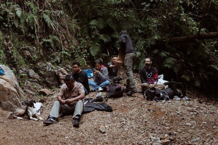 A group of people sitting on a rocky terrain surrounded by dense forest. 4