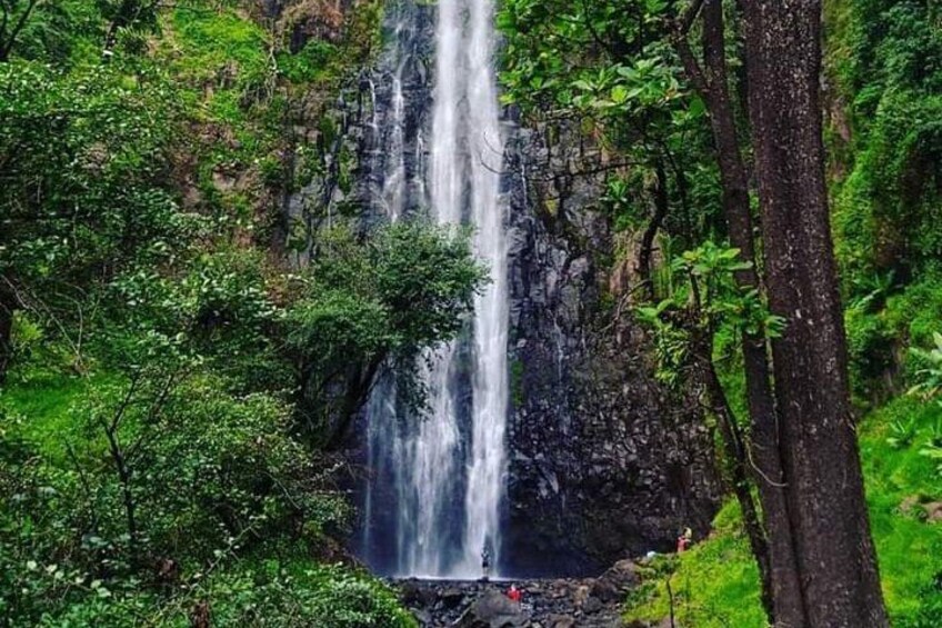 After few hours trekkinmg to the waterfalls it fells good to swim lovely pool 2