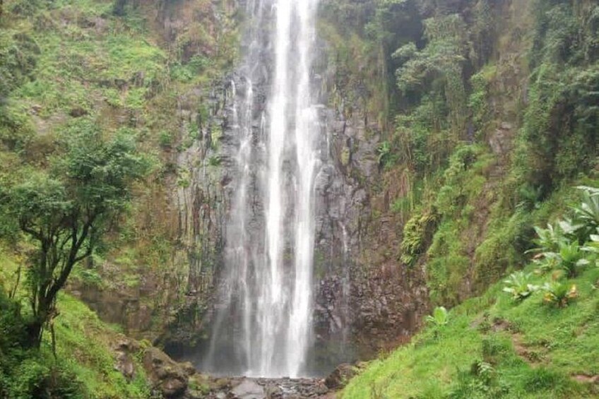 This is most spectacular waterfall and rewarding of coffee farm and moshi town 3