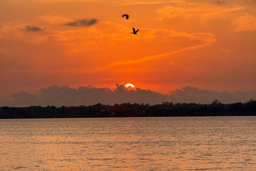 Een zonsondergang boven een wateroppervlak, met silhouetten van bomen en een vliegende vogel. 4