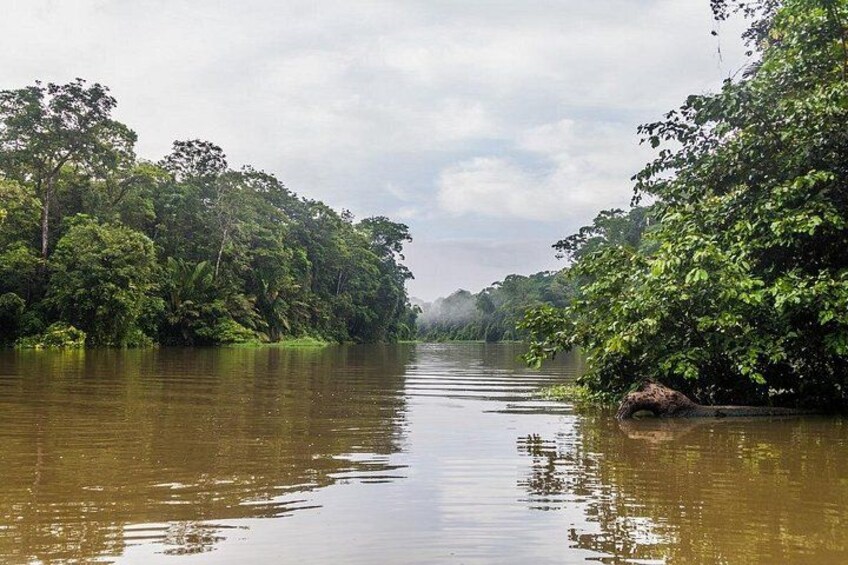 A river flanked by dense green foliage under a cloudy sky. 2