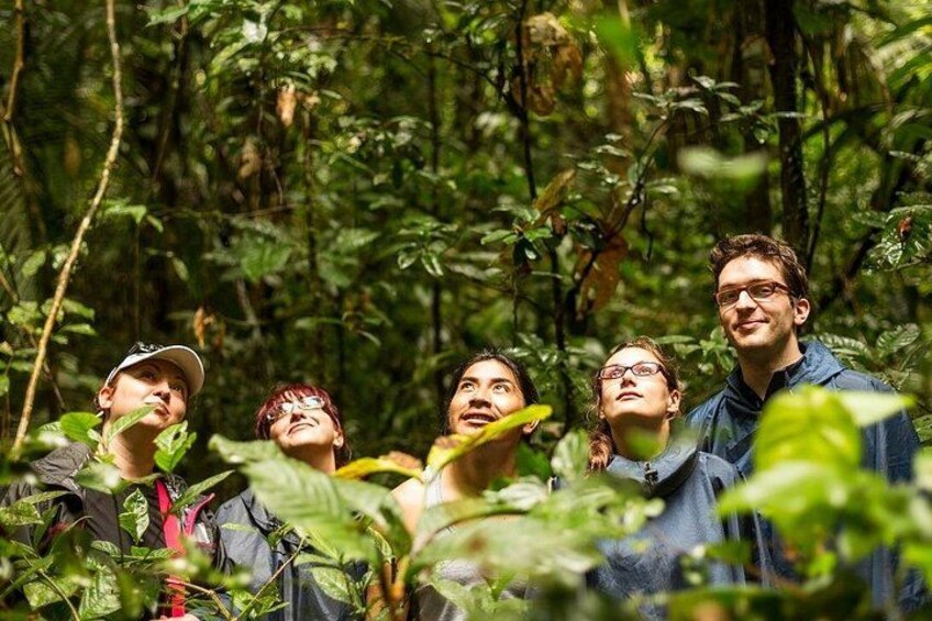 A group of people in a forested area. 5