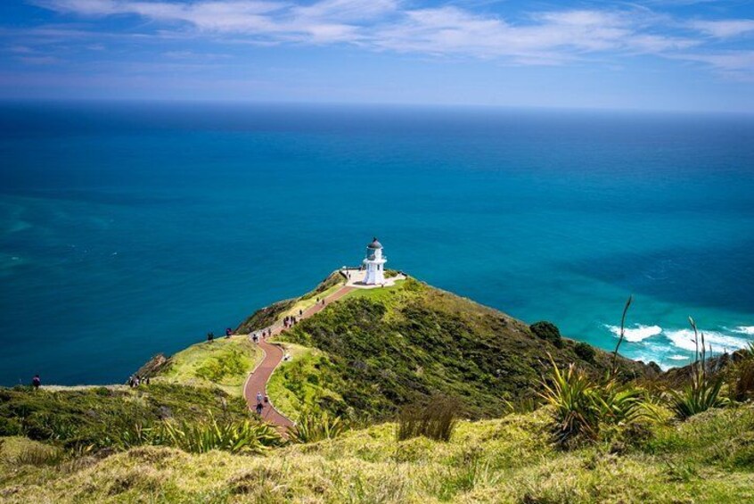 Un phare se dresse sur une colline herbeuse, dominant l’océan. 4