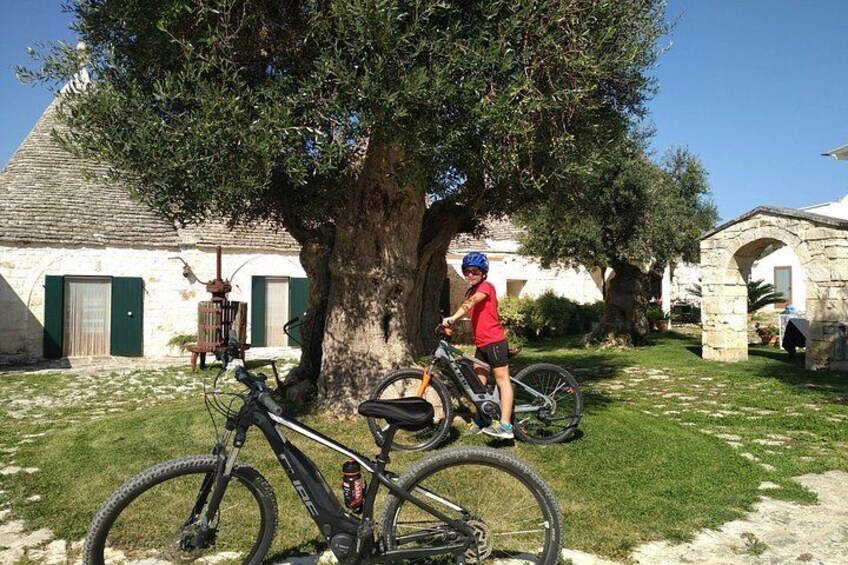 Ett barn som cyklar på en innergård med ett träd och byggnader av sten. 1