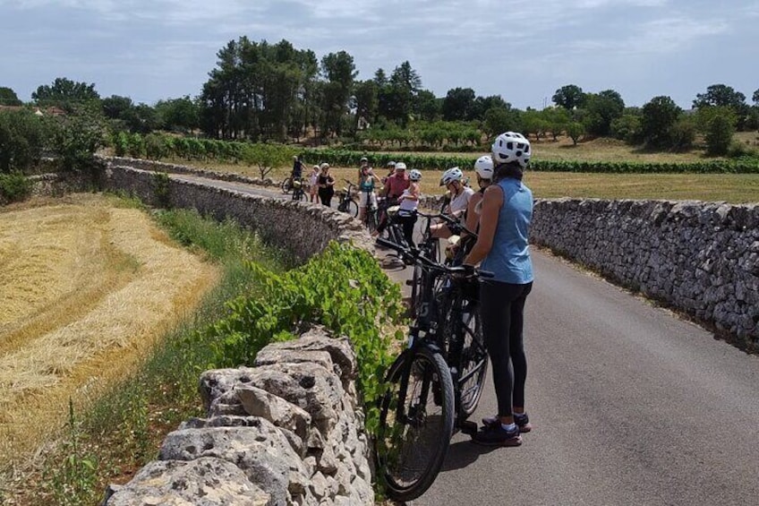 En grupp cyklister på en asfalterad stig, med stenmurar på ena sidan och ett fält på den andra. 2