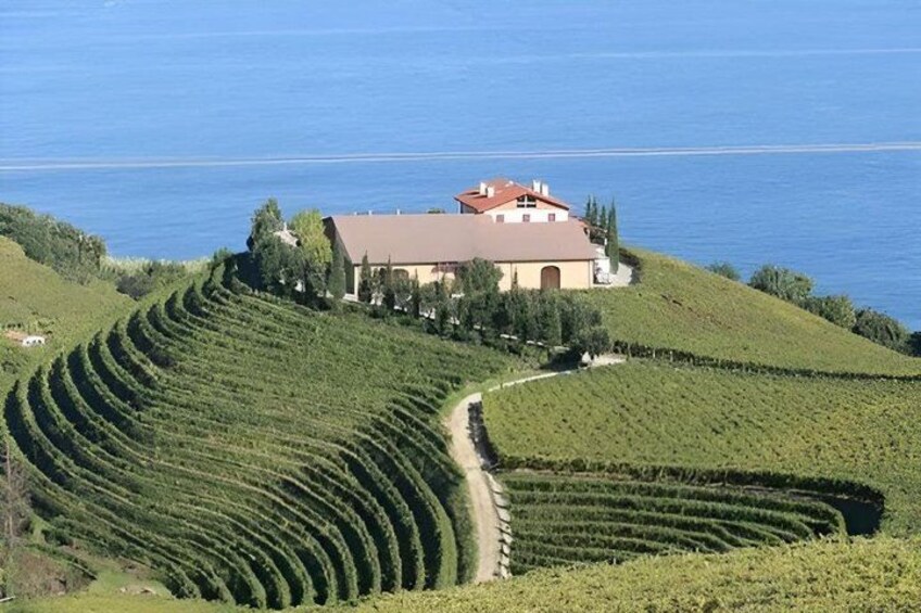 San Sebastian: Private Txakoli Winery & Hondarribia Pintxos Tour 4