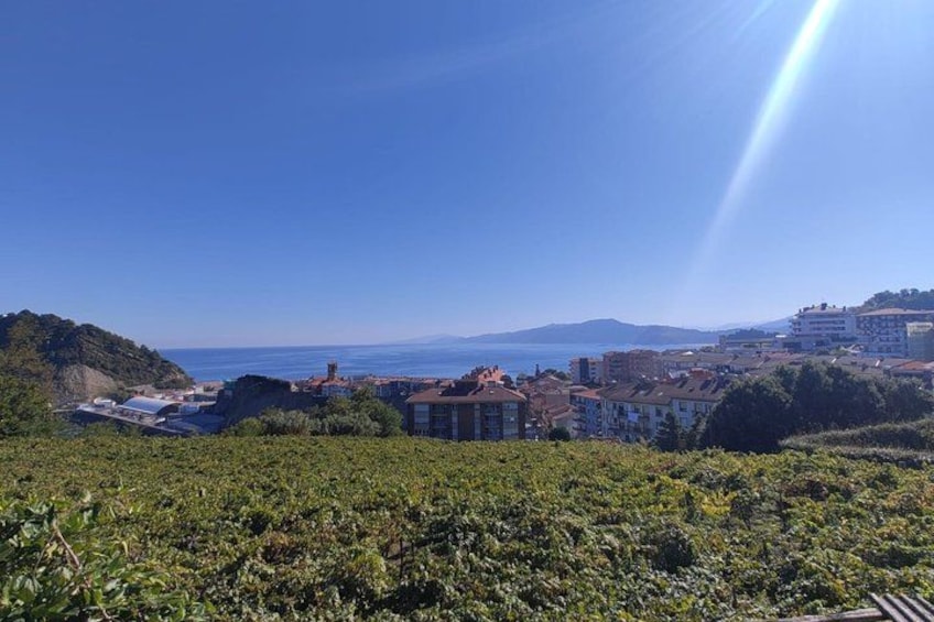 San Sebastian: Private Txakoli & Pintxos (Hondarribia/Getaria) 3
