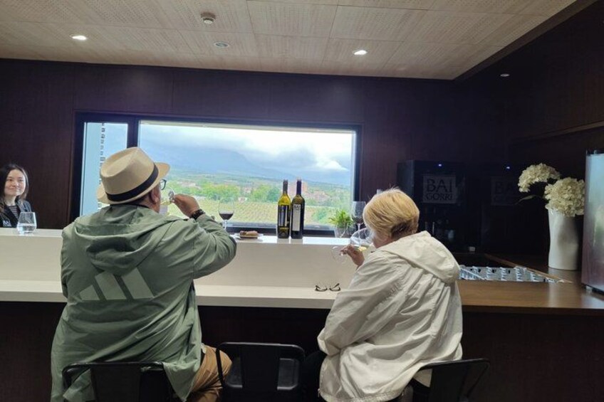San Sebastian: Private Txakoli & Pintxos (Hondarribia/Getaria) 2