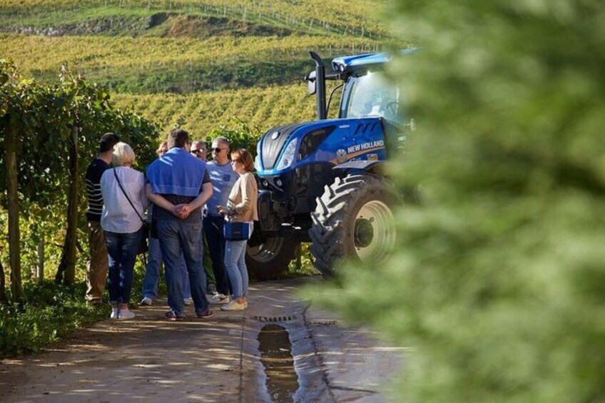 San Sebastian: Private Txakoli Winery & Hondarribia Pintxos Tour 3