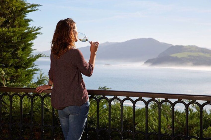 San Sebastian: Private Txakoli Winery & Hondarribia Pintxos Tour 1