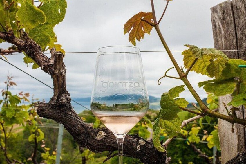 San Sebastian: Private Txakoli Winery & Hondarribia Pintxos Tour 5