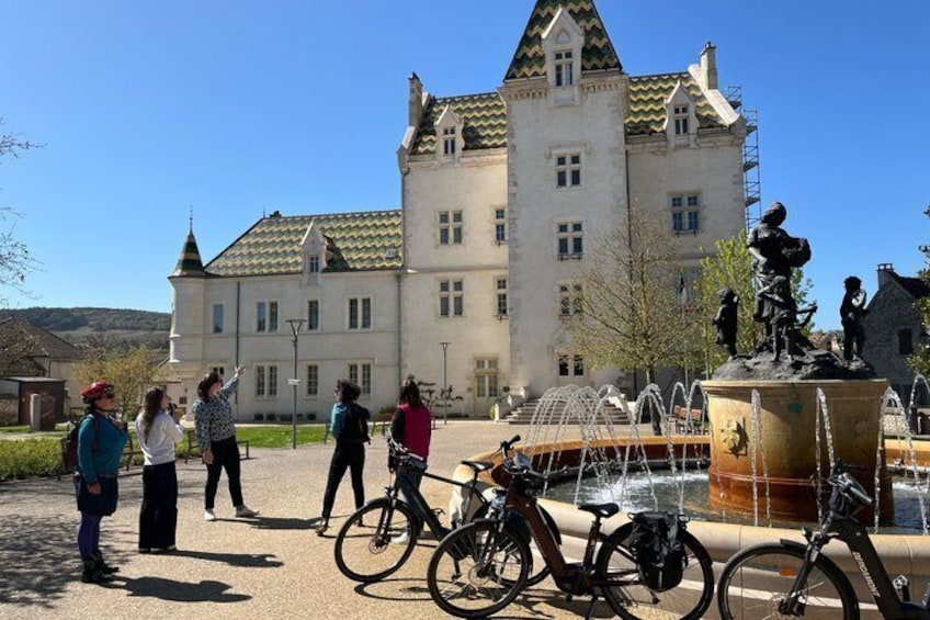 From Dijon or Beaune: E-Bike Burgundy day tour, tastings & lunch 2