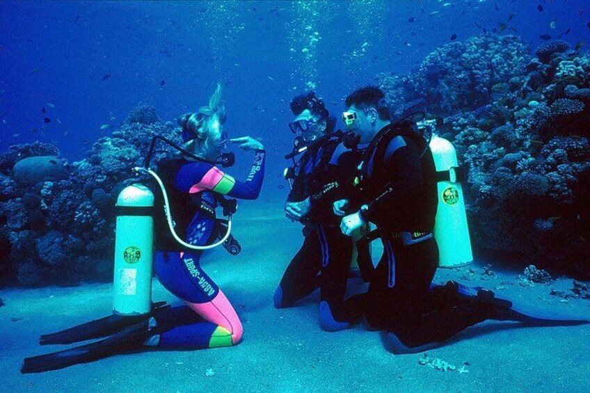 PADI Open Water Course 1