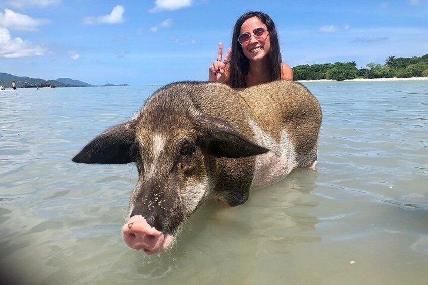 Pigs Island exclusive Semi VIP