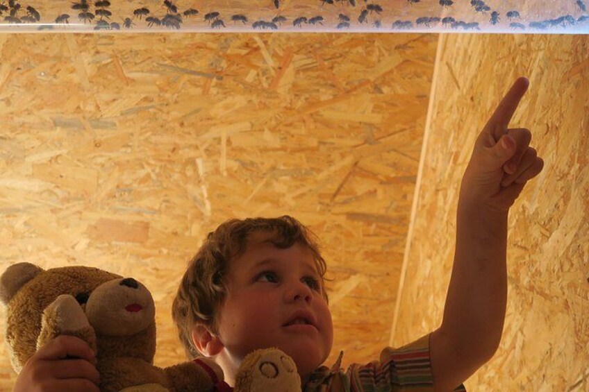 Visit - immersion accessible to all ages (even cuddly toys :-)) and adapted according to everyone's questions 1