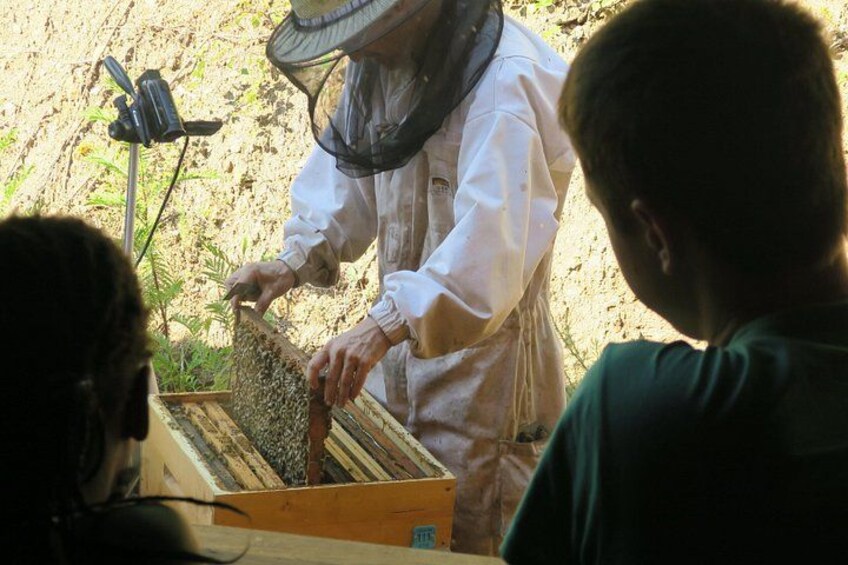Discovering a natural profession ... The opportunity to project yourself? 3