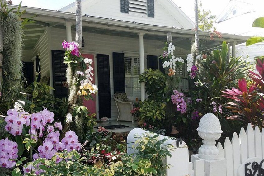 Orchids & Key West Architecture in Old Town 2