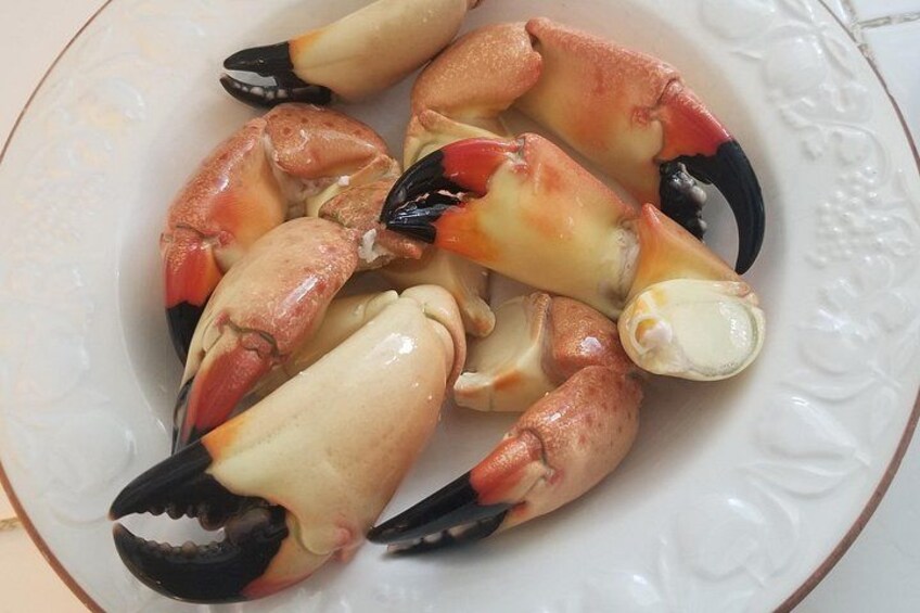 Stone Crab Claws! YUM! In Season October 15-May 15 2
