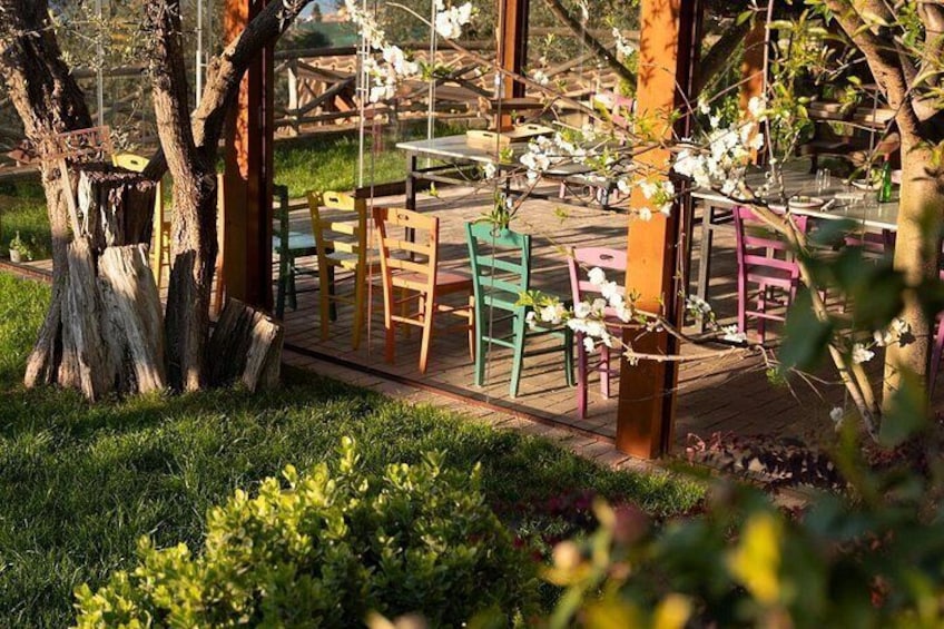 Zona pranzo all'aperto con tavoli e sedie in legno, circondata da alberi e vegetazione. 5