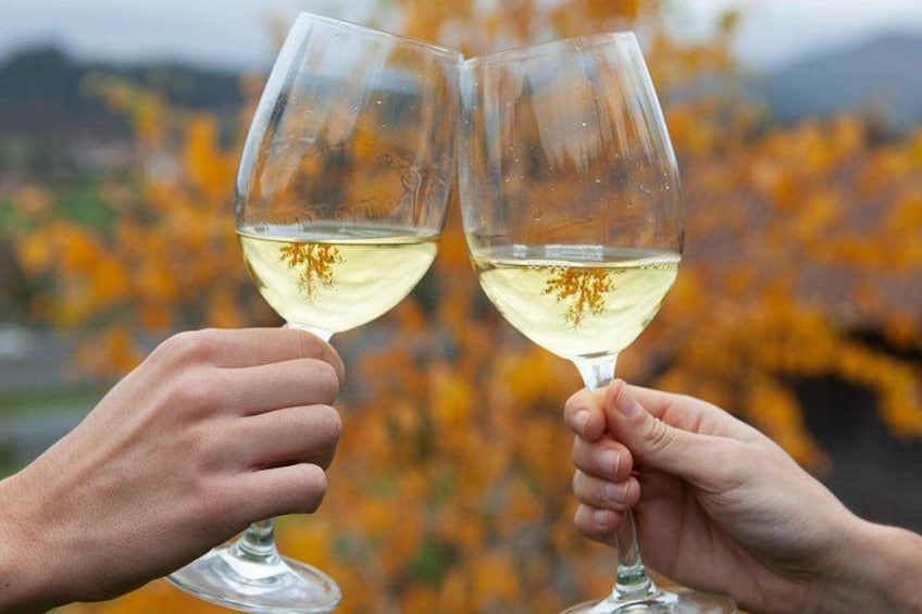 Two hands holding wine glasses with a blurred background of autumn foliage. 1