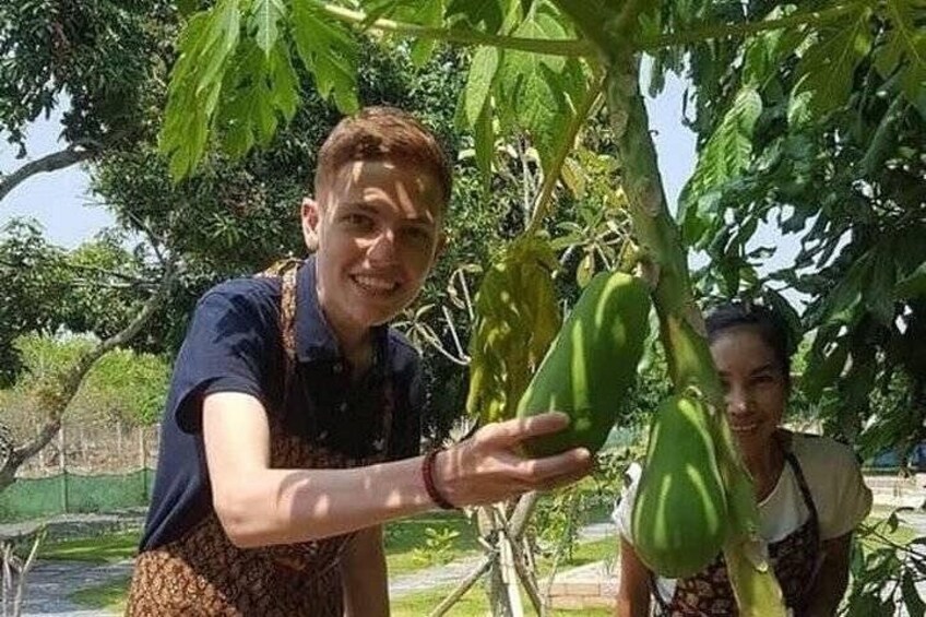 Due persone osservano papaya verde su un albero in un giardino. 4