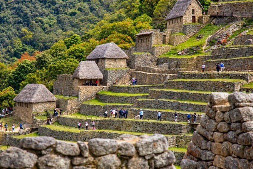 Machu Picchu: Private Tour Guide Service (2–3 Hours) 3