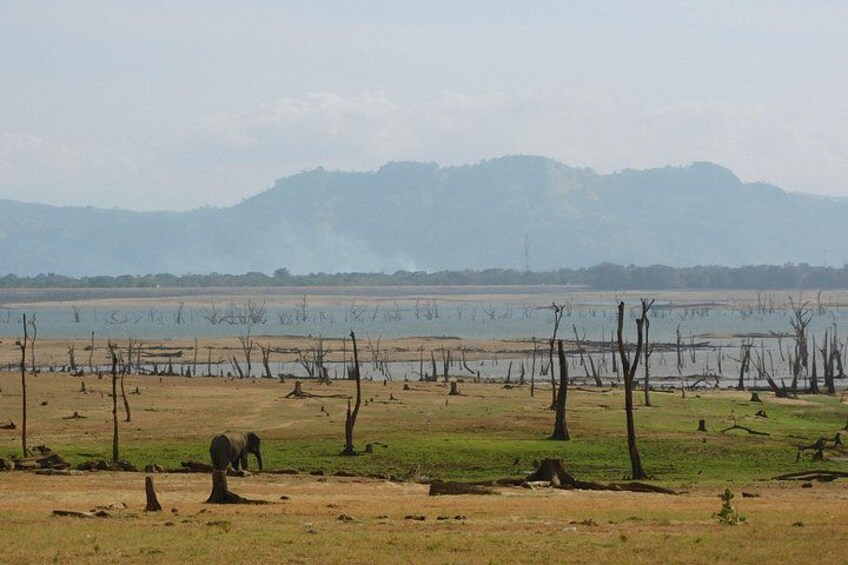 Eine Landschaft mit einem Gewässer, einer grünen Wiese und einer fernen Bergkette. 4