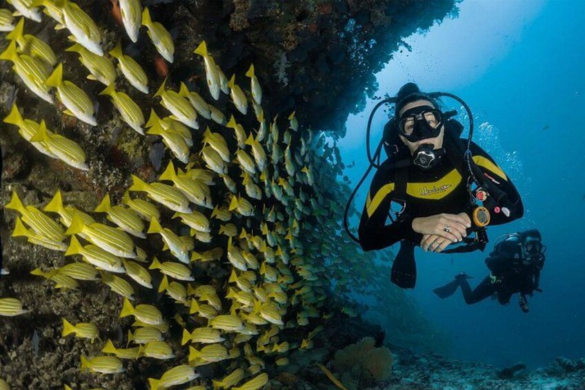 Scuba Review 1
