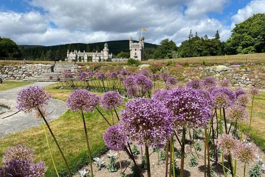 A historic building with a tower, surrounded by purple flowers and a stone wall. 4
