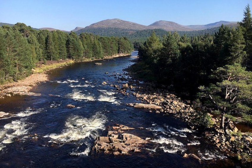 A river flowing through a forest with mountains in the background. 3