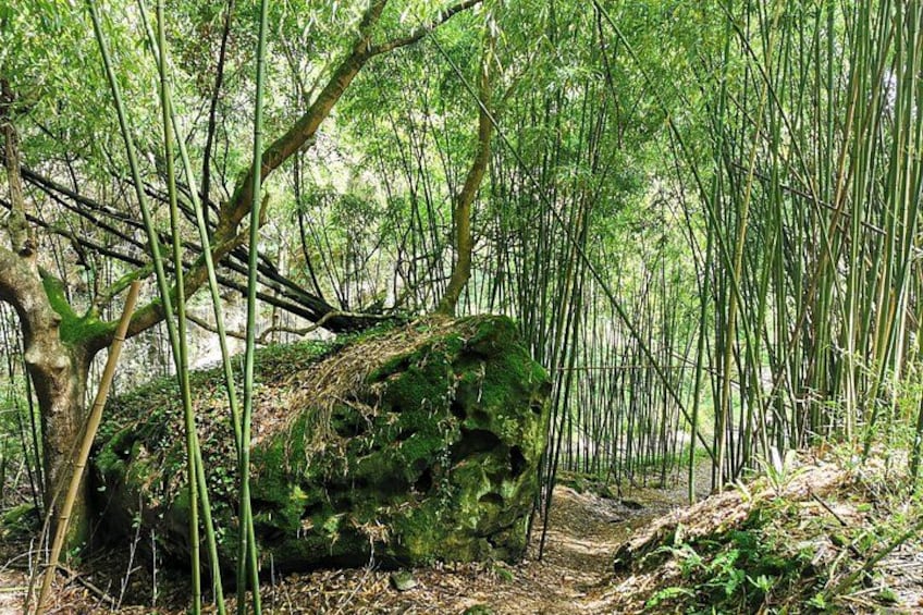 Private Jaizkibel Full-Day Trek from San Sebastián 3