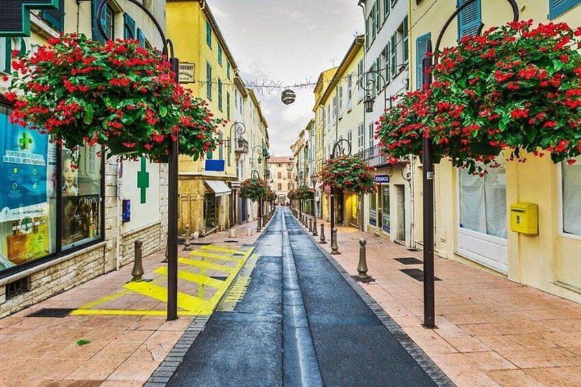 A street lined with colorful buildings, red flowers on street lamps, and a pedestrian crossing. 4