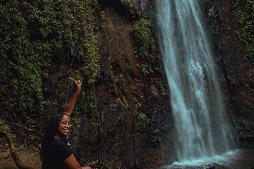 A waterfall in a forested area with a person standing near the water. 2