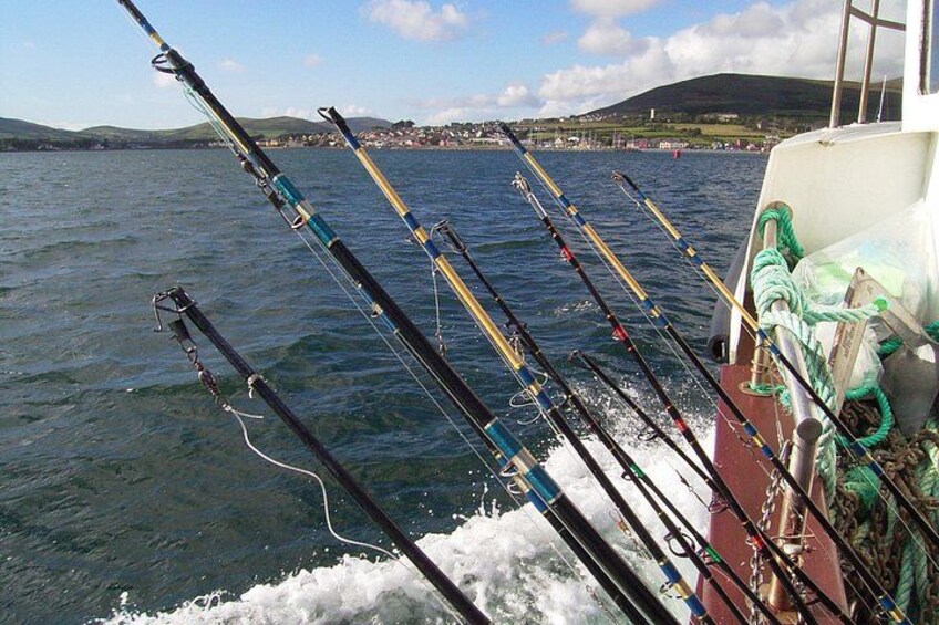 Fishing rods lined up on a boat with a body of water and a distant shoreline in the background. 4