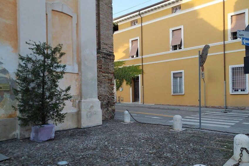 Corner of the walk 1