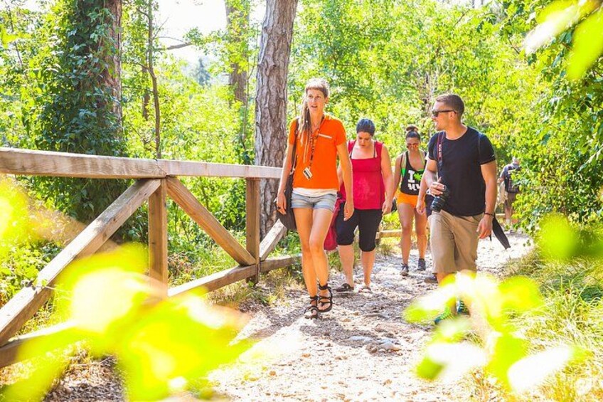 A group of people hiking on a forest trail. 2