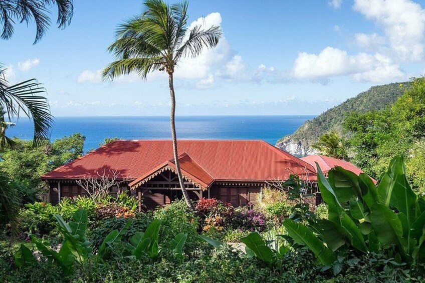 Death in Paradise Tour | Driver at Disposal 5