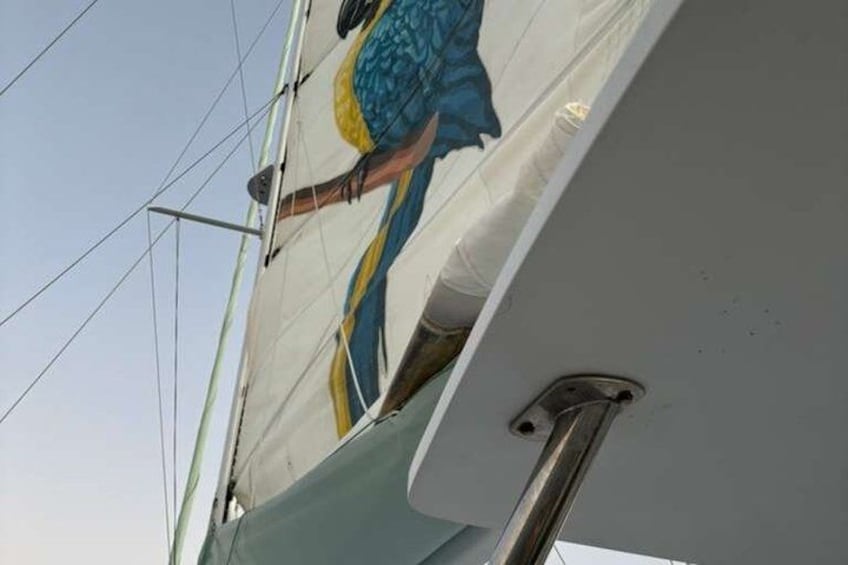 Un velero con una persona de pie en la cubierta. 1