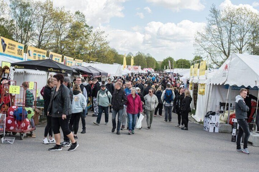 The best of Roskilde walking tour