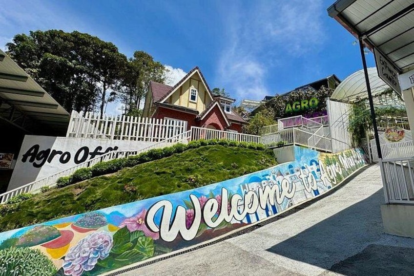 Cameron Highlands with Lunch Guided Day Tour (SIC/Shared Tour) 2