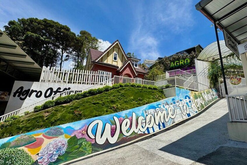 Une fresque murale colorée, représentant une maison et une enseigne sur laquelle on peut lire « Agro Ofini », sert d’élément de bienvenue. 2