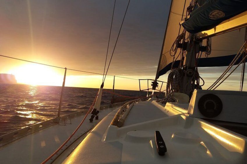 Full Day Sailing Yacht Trip in Menorca 3